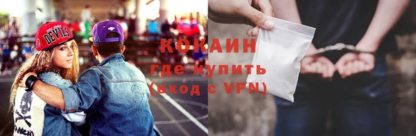 кокс Елизово