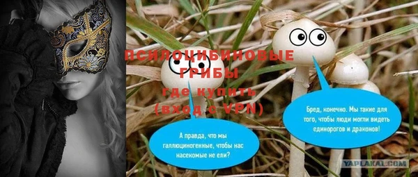 кокс Елизово