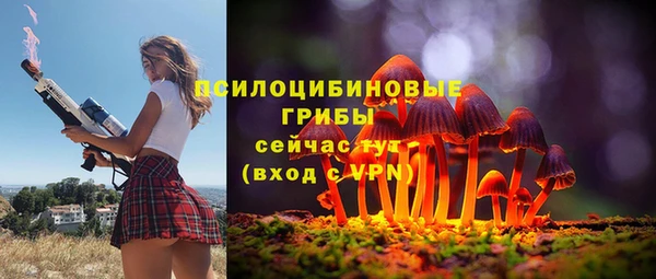 гашиш Дмитров