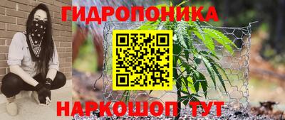кокс Донской