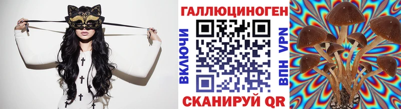 Псилоцибиновые грибы Magic Shrooms  Купить где  Менделеевск 