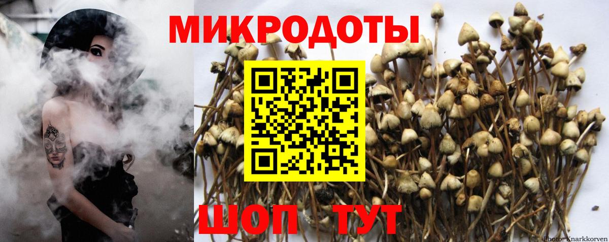ГАШ Менделеевск